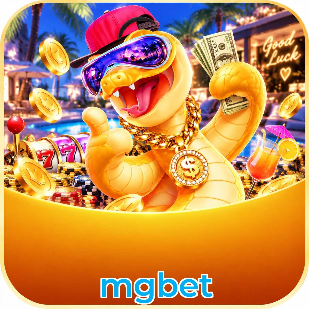 mgbet Bet Odds Analysis